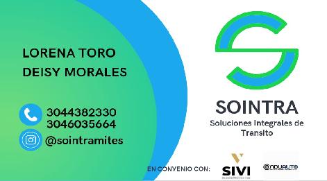Asesoria y tramites de transito